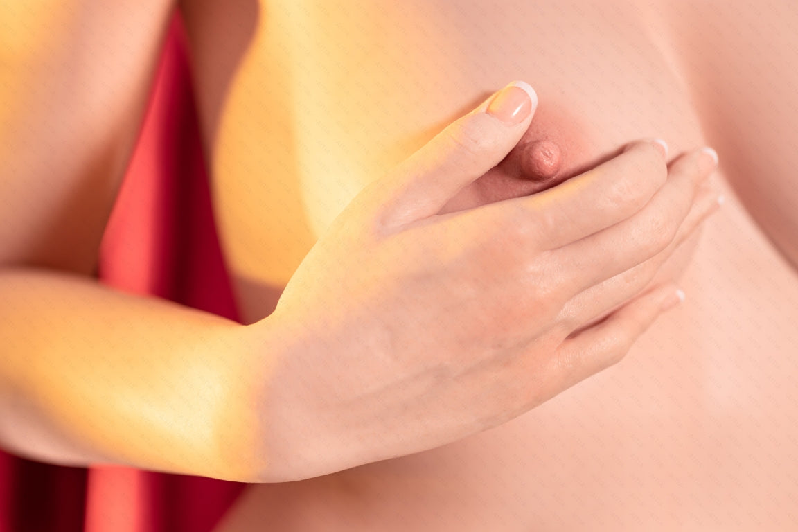 Lalka seksu Begonia (lalka AITIA 163 cm C-cup 2.2 Silikon)