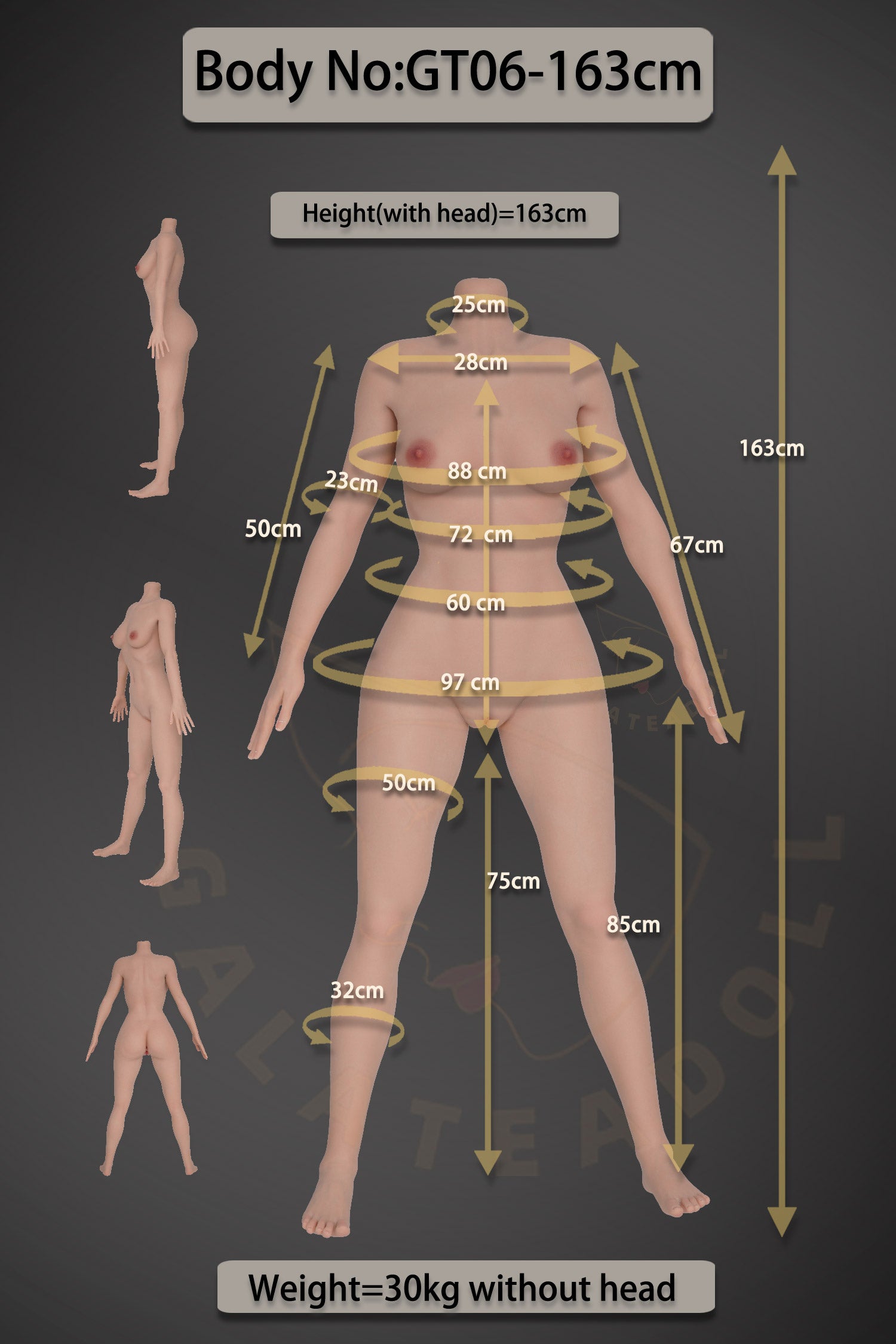 Fiona Sex doll (Galatea Doll 163cm D-cup #163 silicone)