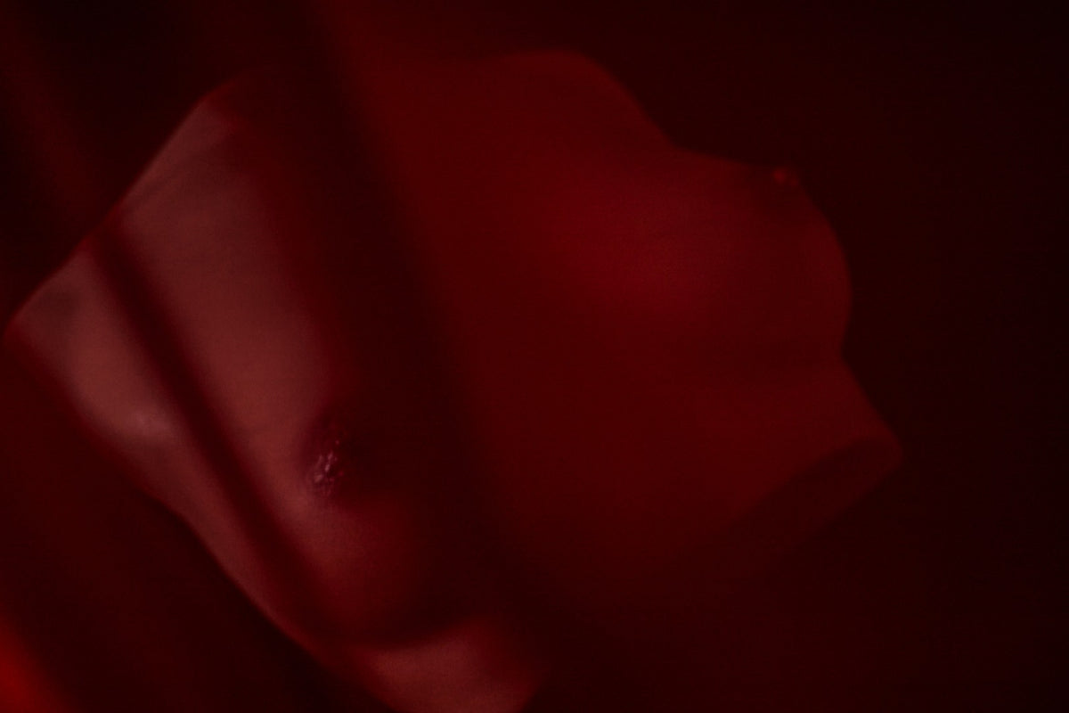 Lalka seksu z piersiami (S) tułowia (Climax Doll Pro B-cup Silikon)