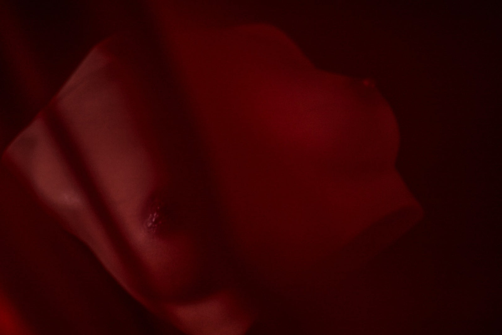 Lalka seksu z piersiami (S) tułowia (Climax Doll Pro B-cup Silikon)