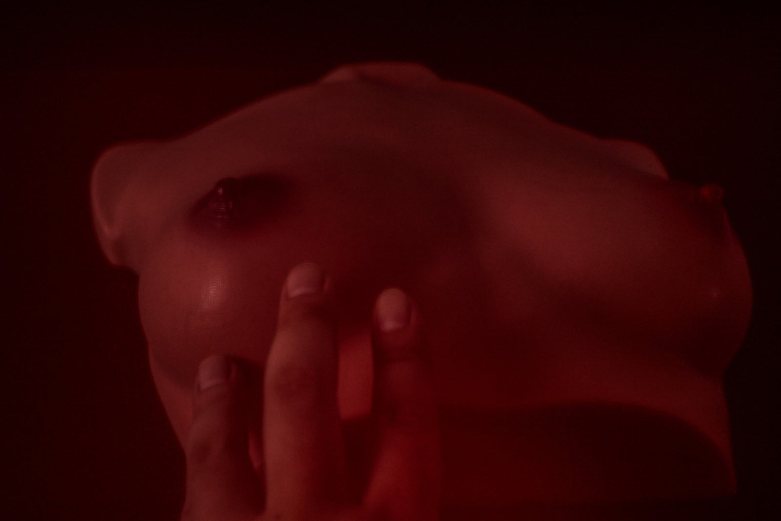 Lalka seksu z piersiami (S) tułowia (Climax Doll Pro B-cup Silikon)