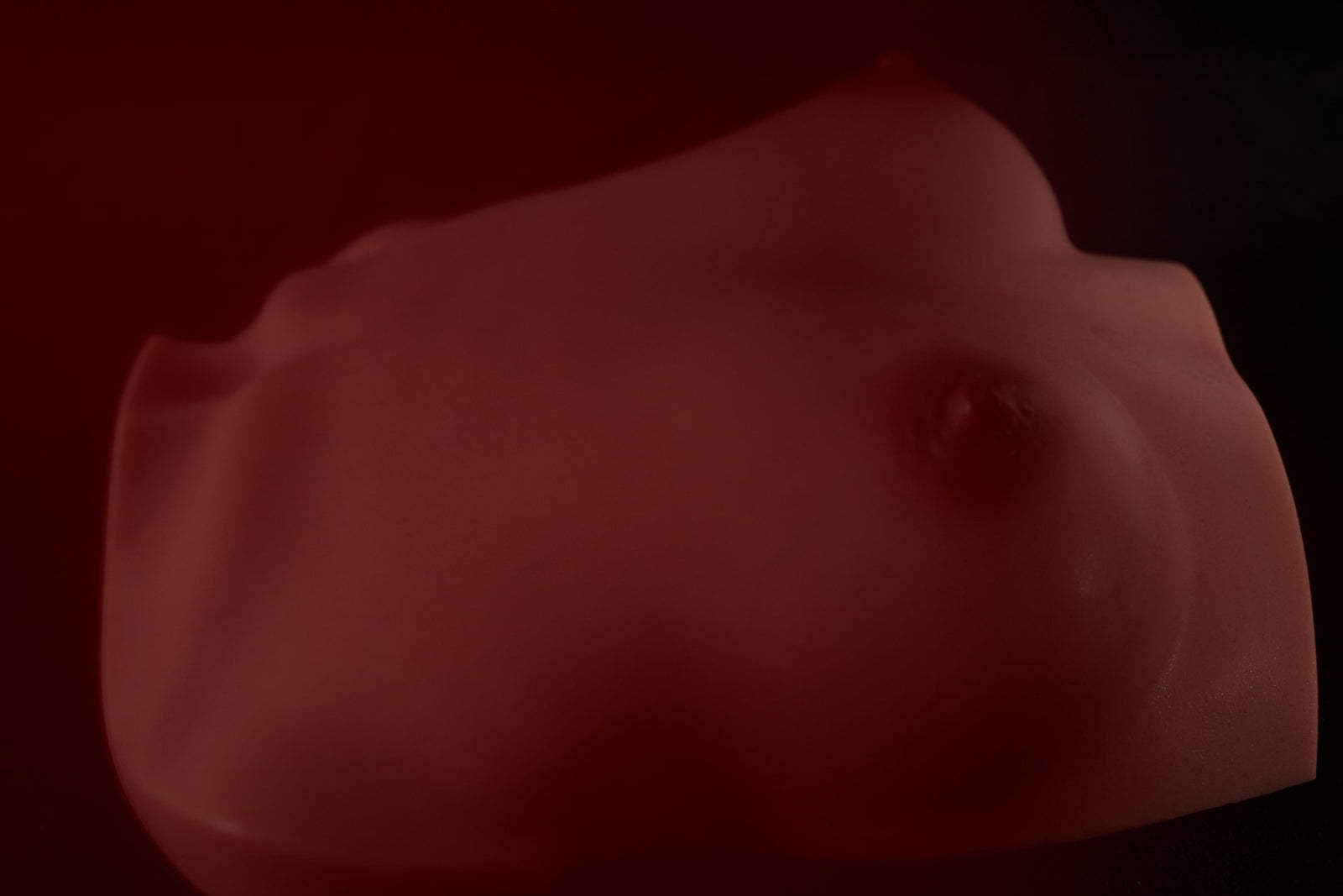 Lalka seksu z piersiami (S) tułowia (Climax Doll Pro B-cup Silikon)