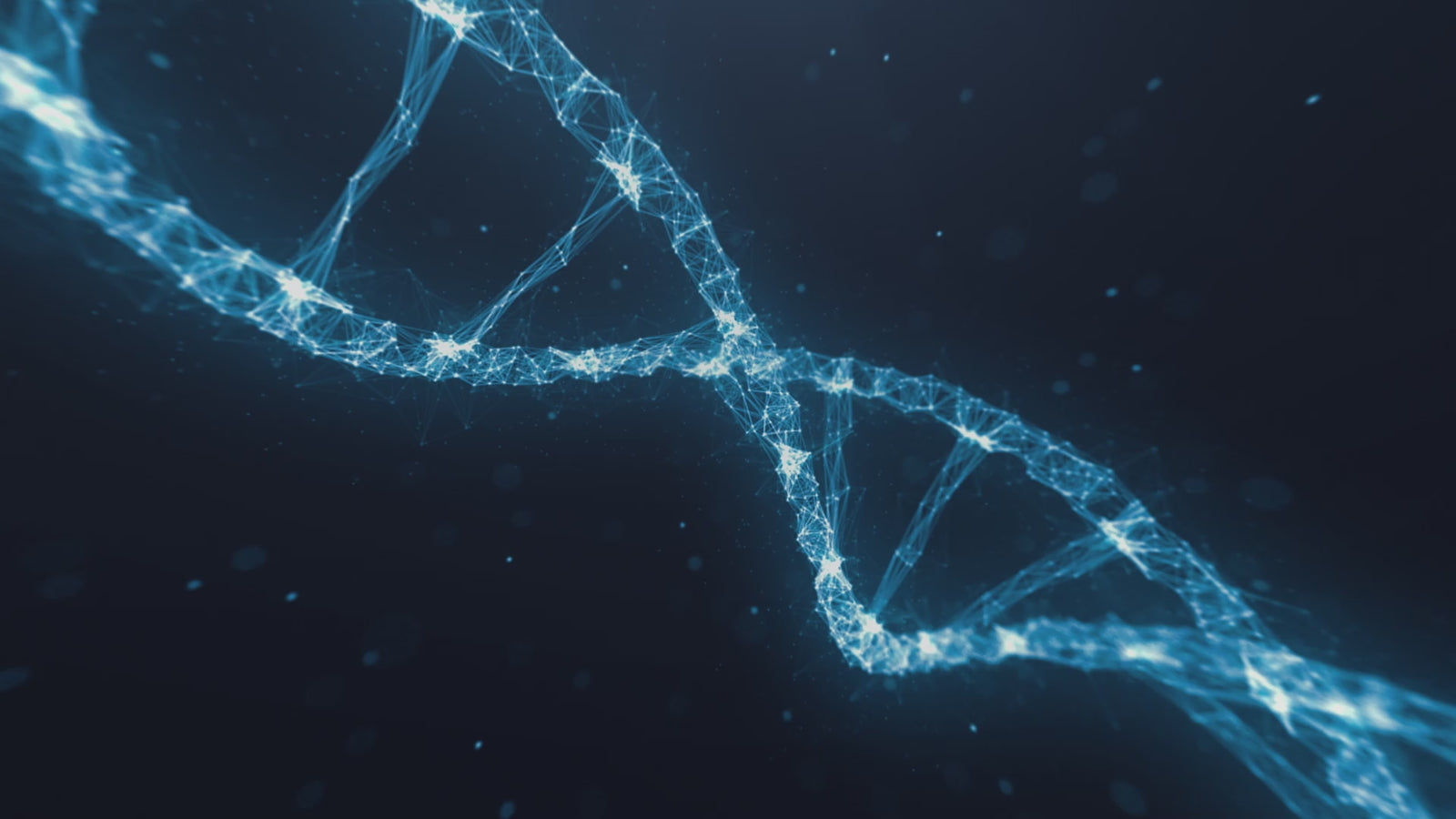 Lalka erotyczna Miriam (XT Doll 163cm F-cup #XT-2-B Silikon)