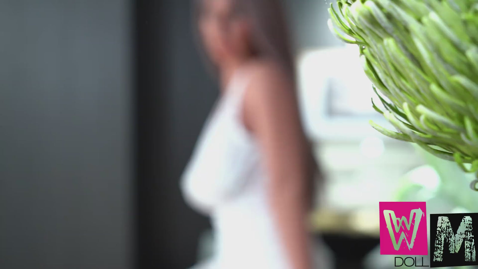 Lola Sex doll (WM-Doll 165cm D-cup #SS111 TPE+silicone)