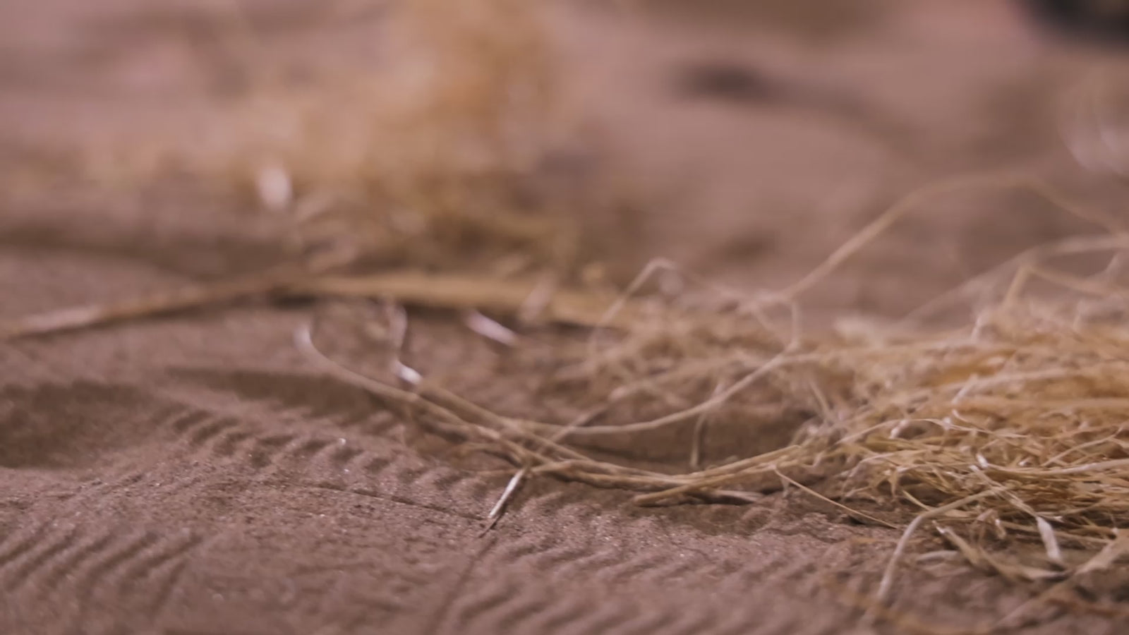 The Isle Sex doll (Dolls Castle 156cm E-cup #A1 TPE)