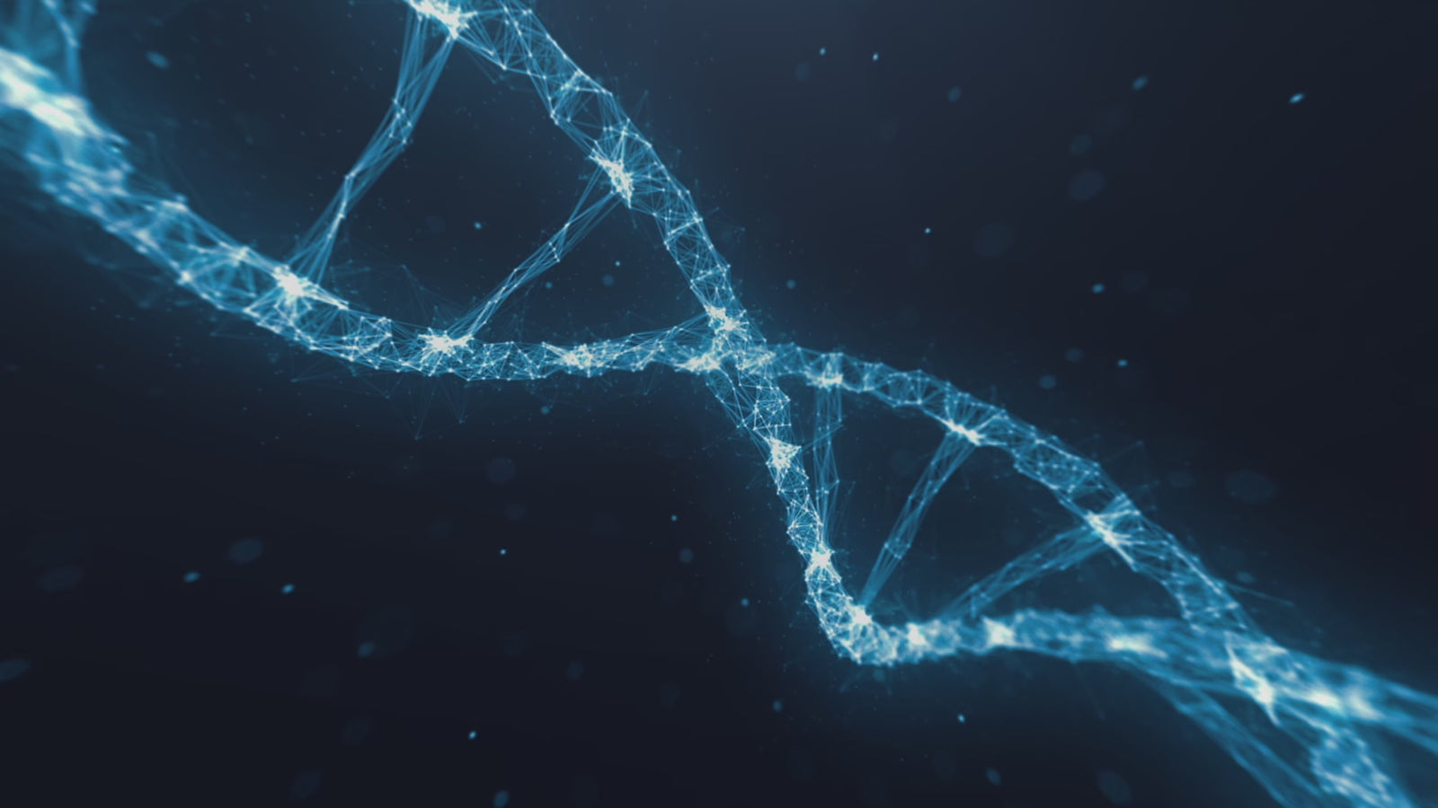 Lalka seksu Rosaire (XT Doll 164cm C-cup #XT-byb14 Silikon)