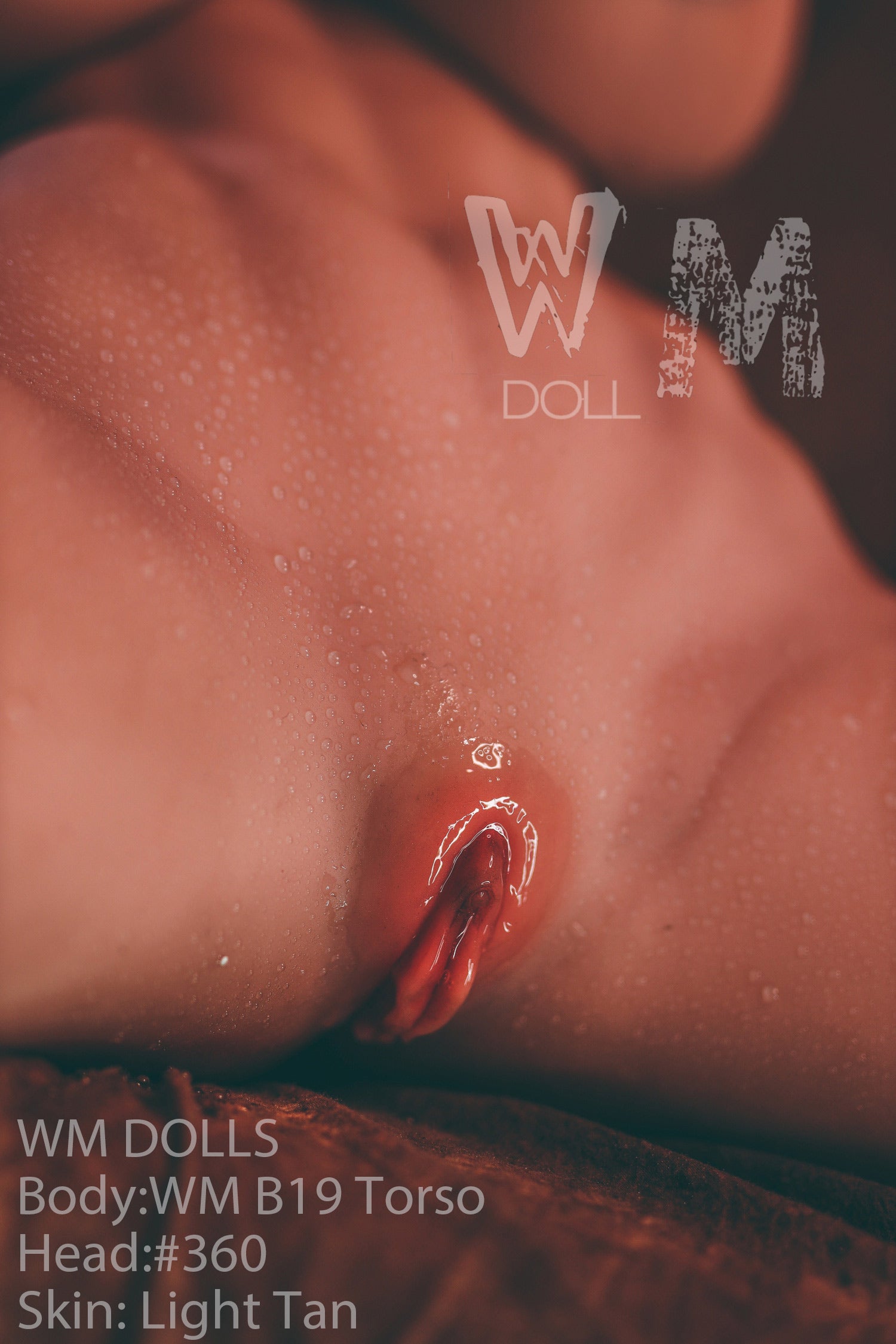 Brandy Sex Doll (WM-Doll TOUSO B19 89CM J-cup #360 TPE)