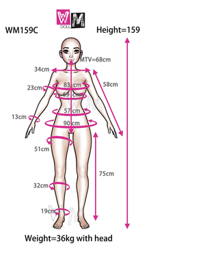 Clear Fex Doll (WM-Doll 159 cm C-cup #326 TPE)